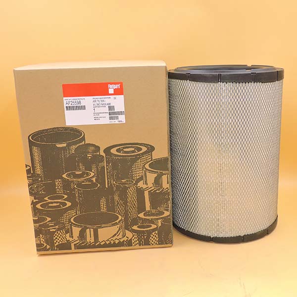 Air Filter AF25598