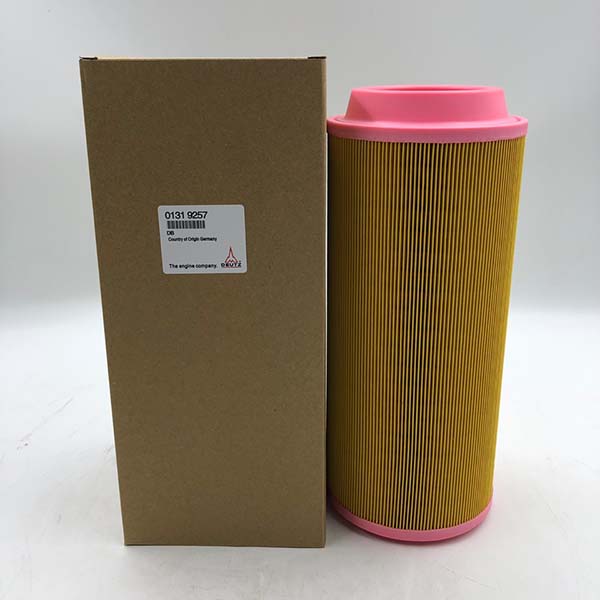 Air Filter 01319257