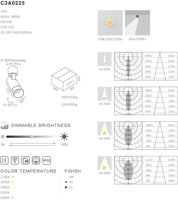 Modern Indoor LED Ceiling Light