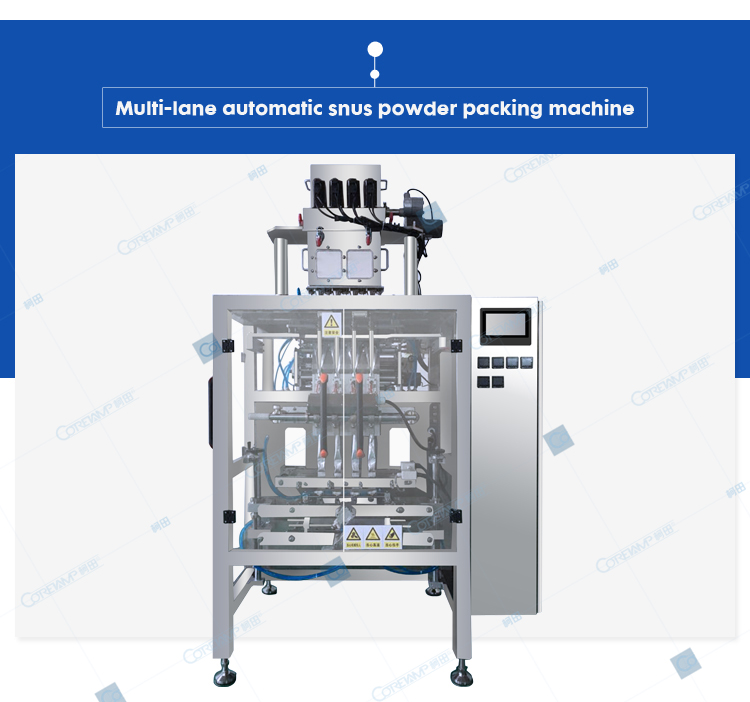 ZV-G4L Granule Packaging machine