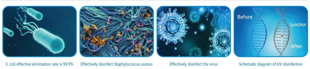 Effectively disinfect virus working light