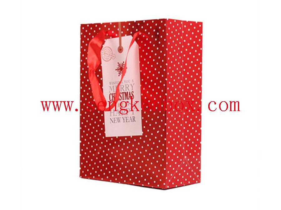 Paper Bag With Cotton Handle