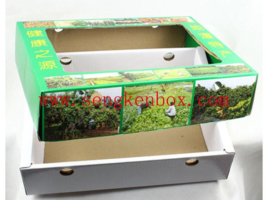 Paper Box With Visual Window