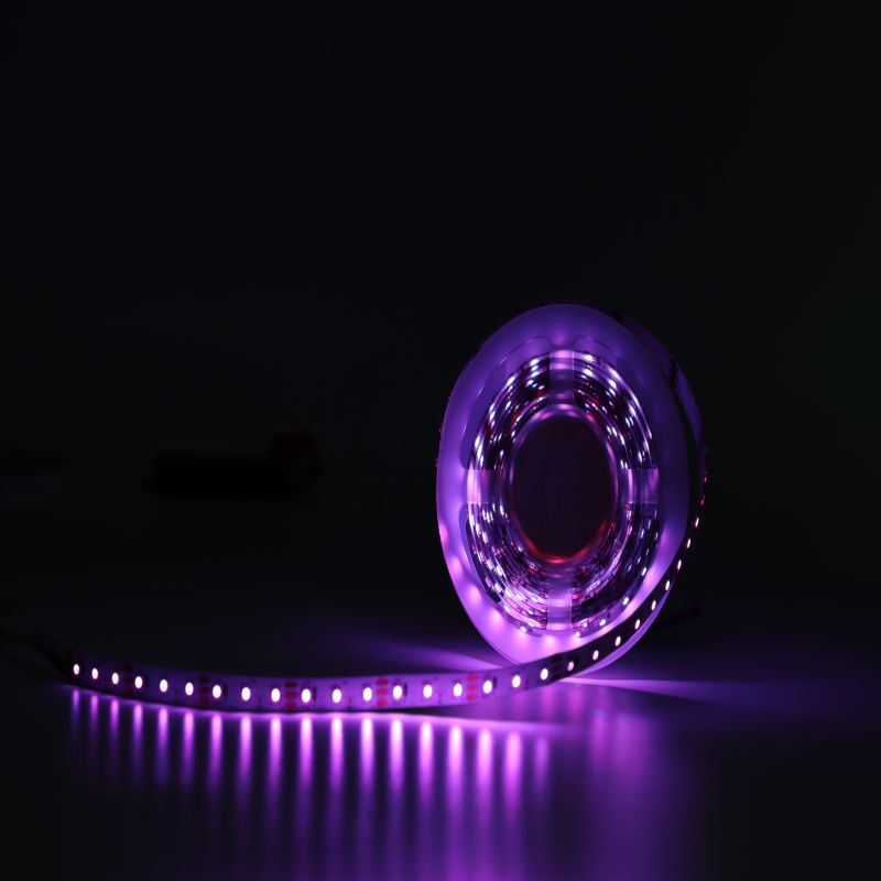 Smart Silicone Neon LED Strip