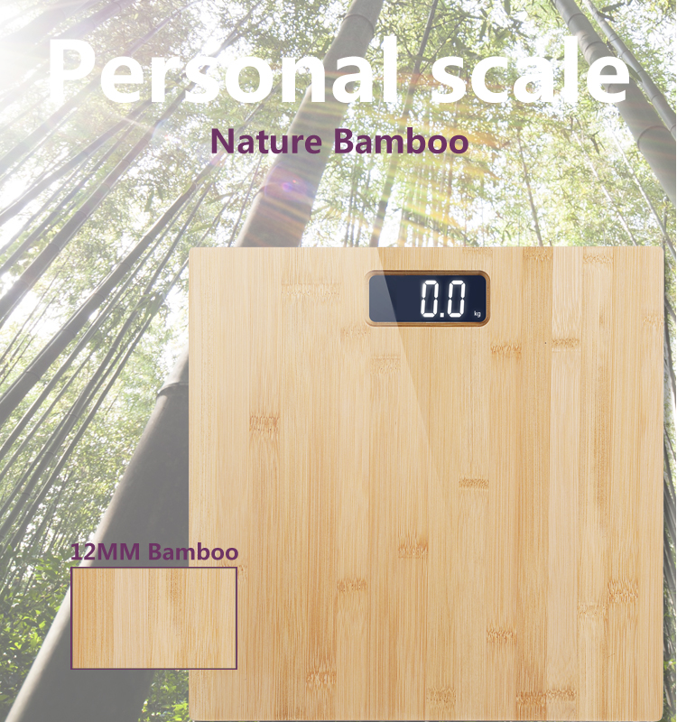 BAMBOO SCALE 