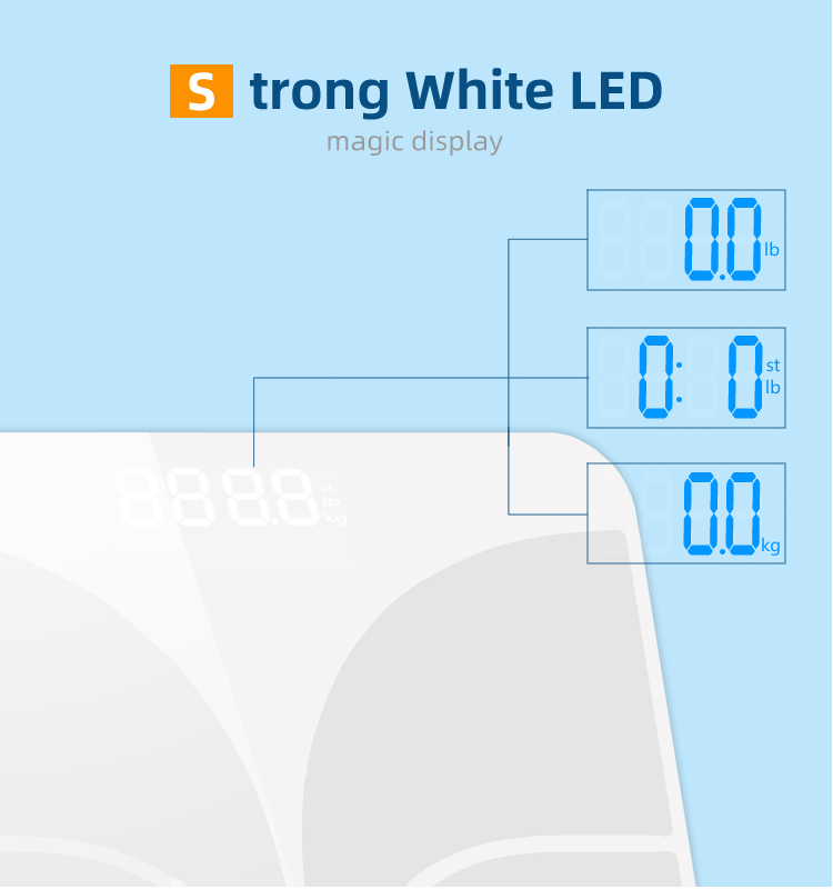 china wholesale scale in smart function