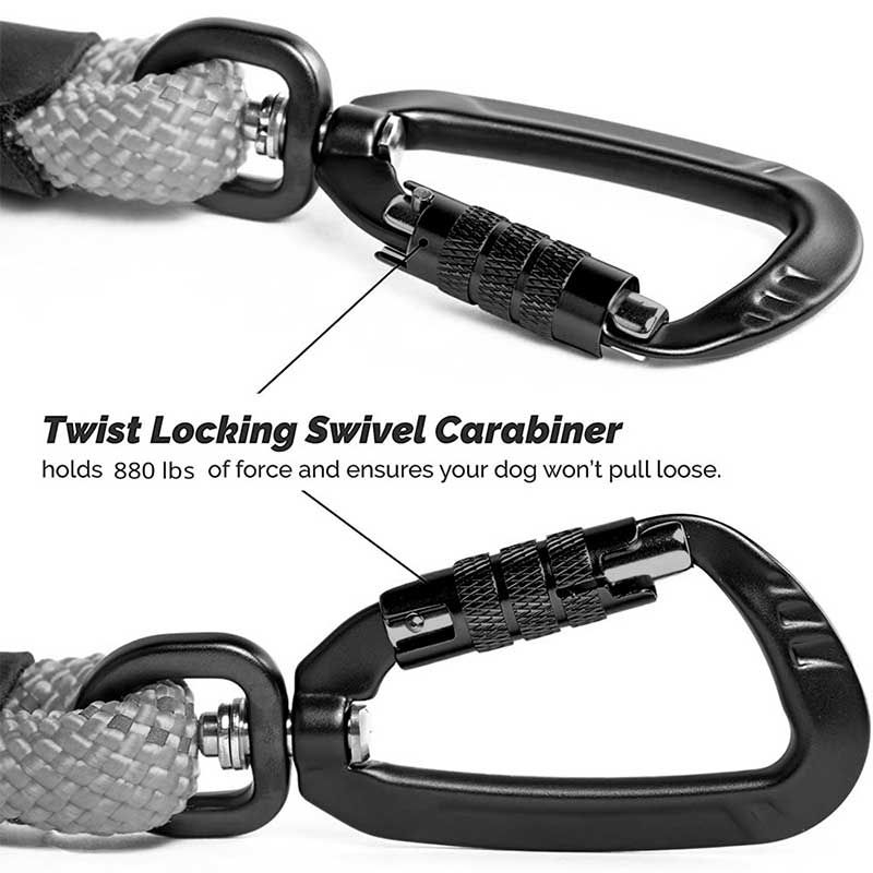 Carabiner for dog