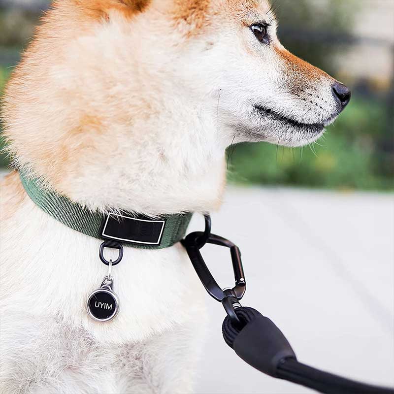 Carabiner for dog