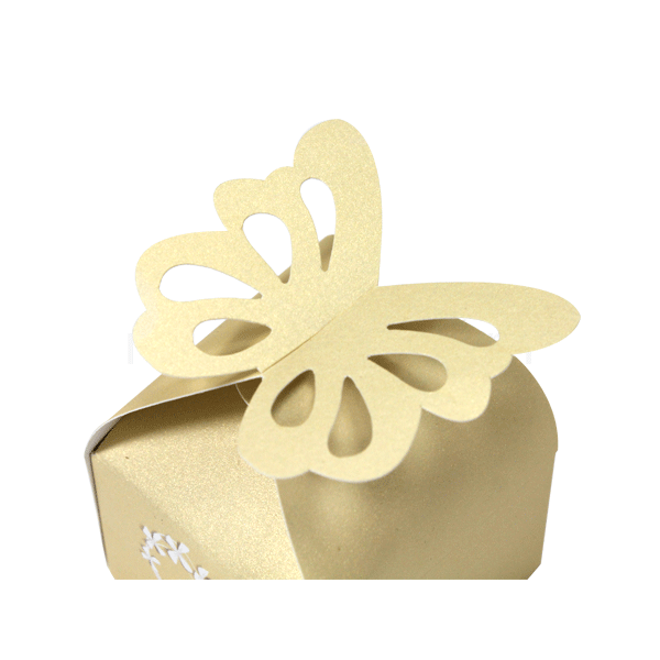 Die Cut Paper Box 