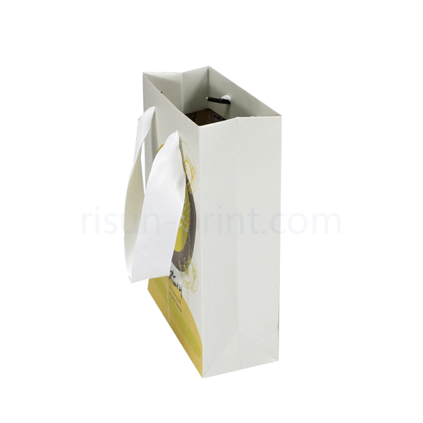 Glossy Paper Bag 