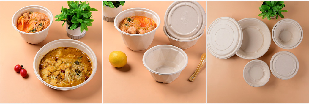 Sugarcane Bagasse Bowls Manufacturer