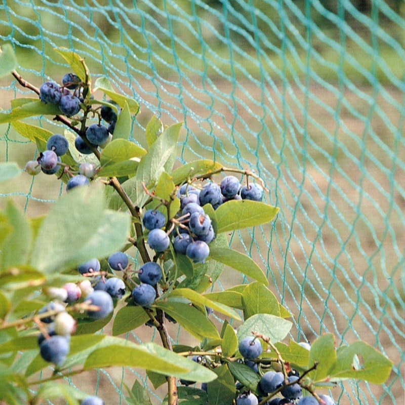 anti bird netting